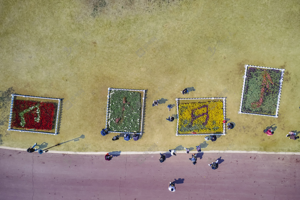 滨州滨城区摄影师,滨州摄影师事迹介绍