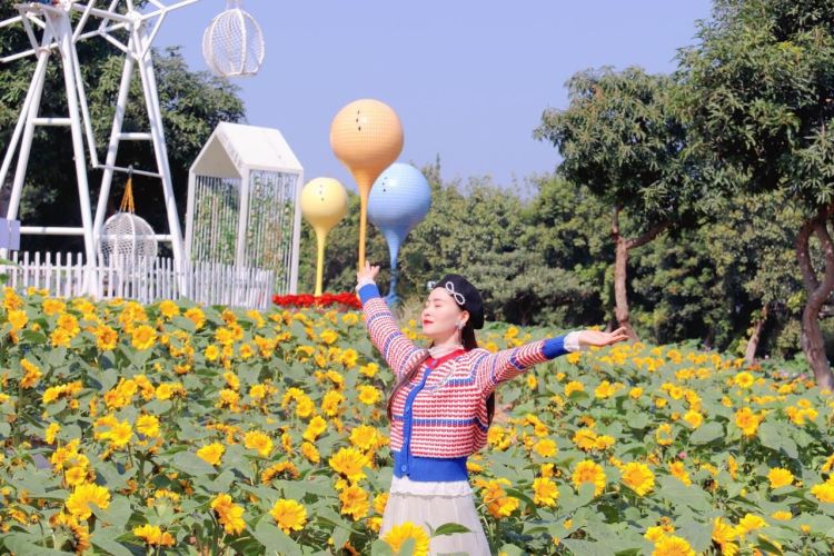 深圳光明农场大观园能玩多久,光明农场大观园灯光秀入口怎么走