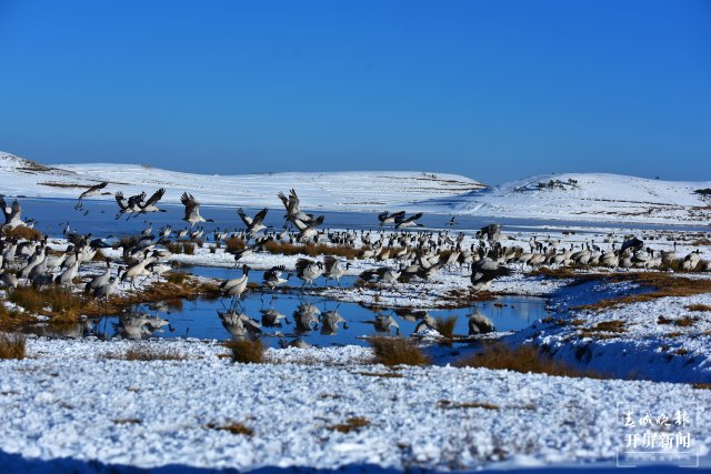 云南昭通有什么风情,云南昭通生活视频