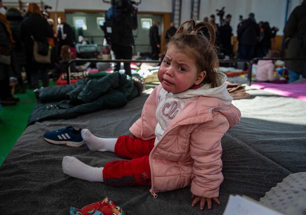 乌克兰数千家庭进入波兰，有孕妇徒步40公里，再排20小时队