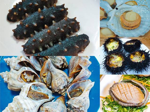 北纬海边游玩攻略,深度海岛游玩攻略