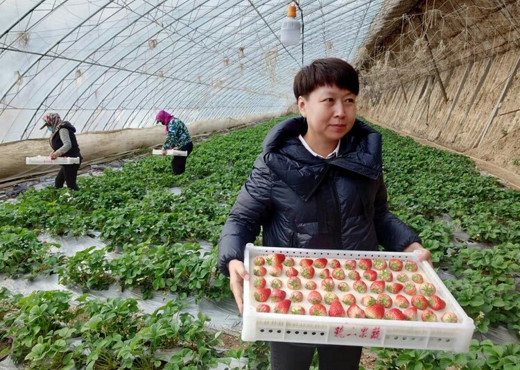 新农人努力拼搏的样子,新农人唤醒乡村新活力