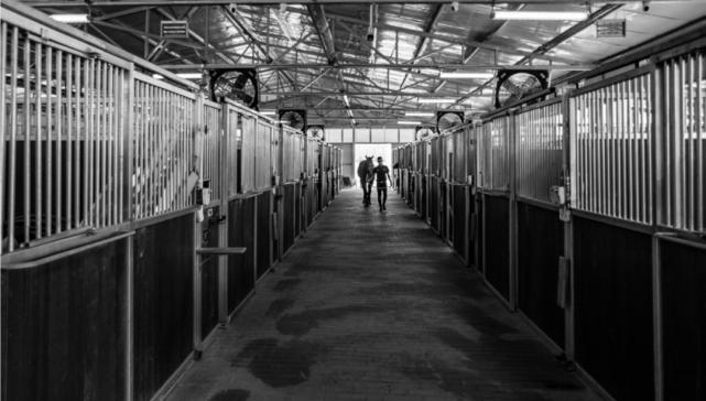 国家体育总局最新通知提及即开型体育彩票，速度赛马或迎来春天？