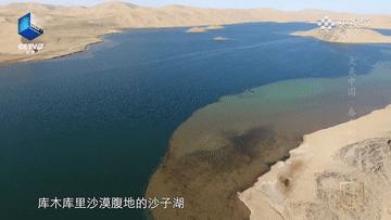 滴！跟着CCTV的镜头打卡*疆新**之春