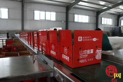 泉水人家有一“甘薯帝国”,可脆可糯可冰可热,全济南“薯”他有花样