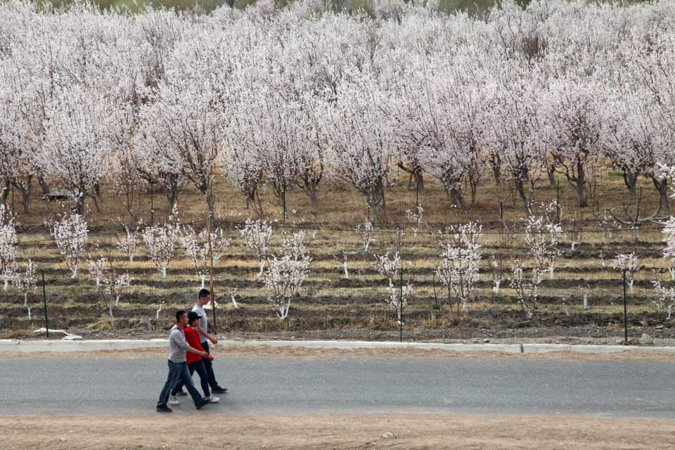 西行记札记,西行纪讲述的故事