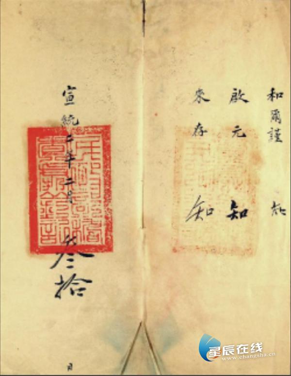 春色满园②|琴海数智：智创未来在档案储存数字化的风口振翅高飞