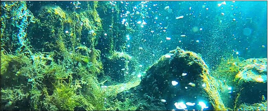 万壑争流，珠玑升腾千百年来，济南这个泉始终静泊着清幽的向往