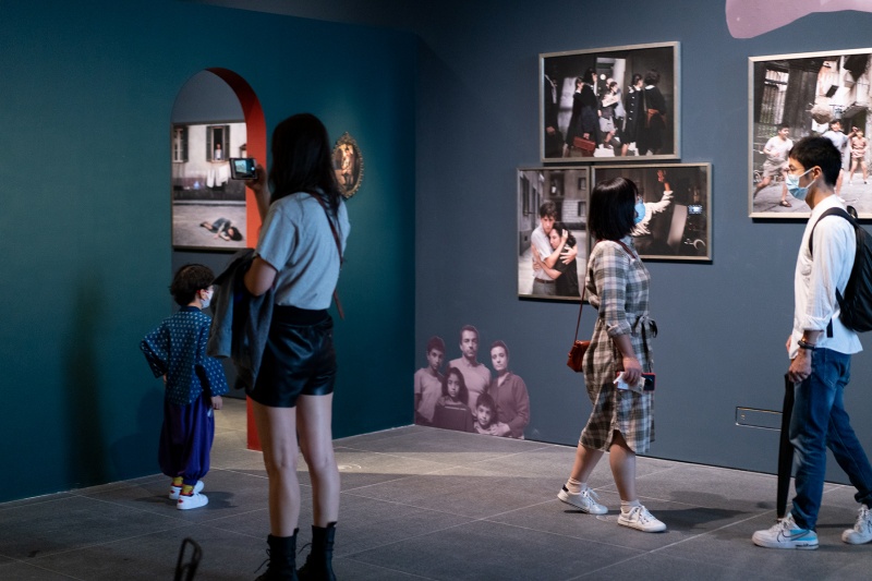 我的天才女友埃莱娜费兰特,费兰特女友