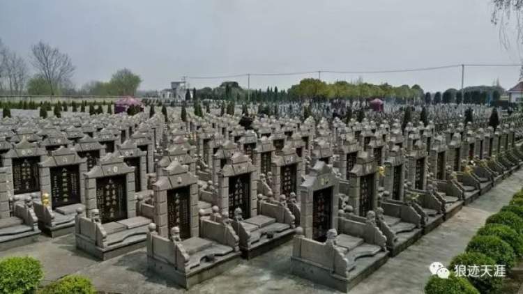 农历三月初五清明几年一次,三月初五清明能烧纸吗