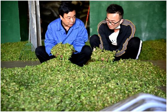 常喝一杯杜仲雄花茶，助力好睡眠