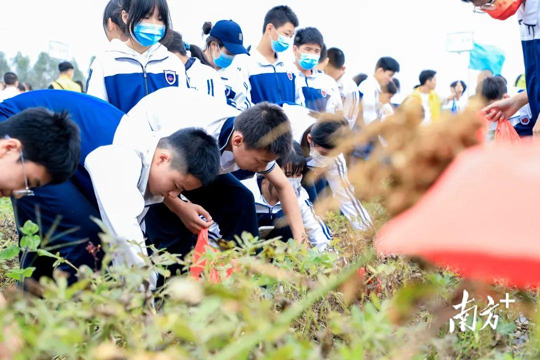 你最关注哪一项？佛山“教育系统十项民生实事”邀你投票