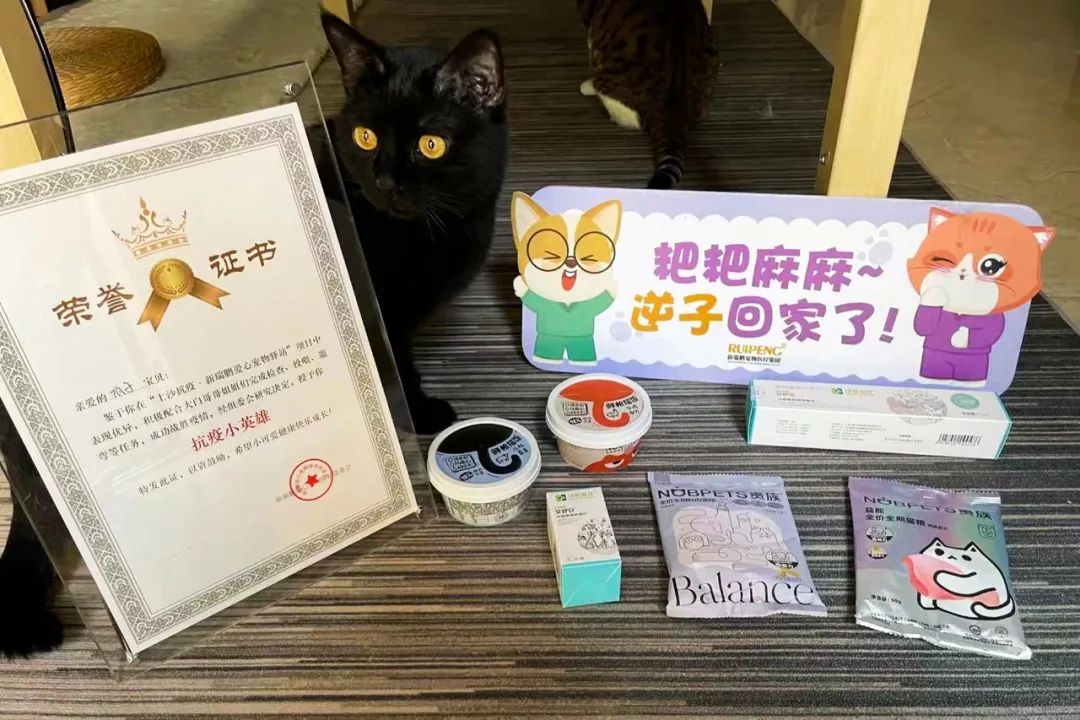 宠物方舱,宠物方舱真相在哪