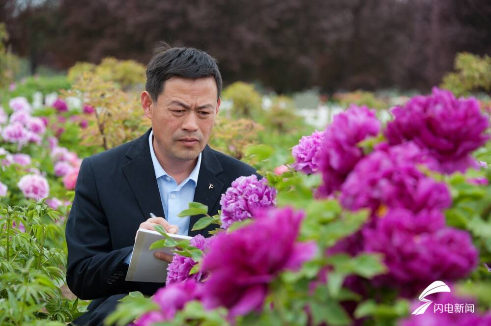 菏泽百花争艳惹人醉,菏泽最著名的牡丹花有什么