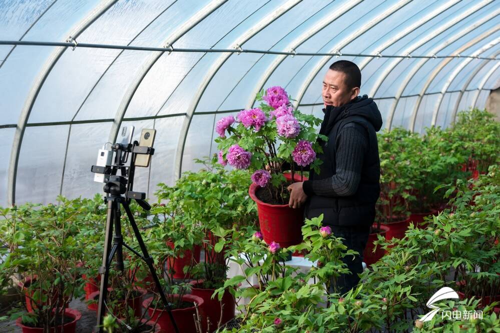 菏泽百花争艳惹人醉,菏泽最著名的牡丹花有什么
