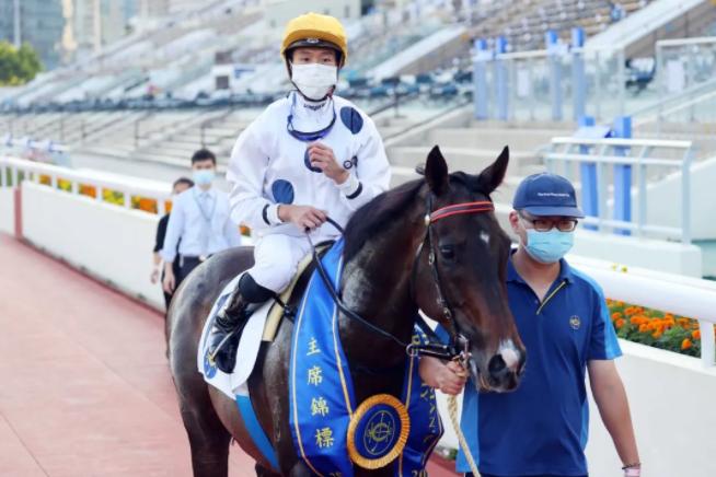 关于世界最强马匹排行榜,关于世界名贵马匹排行榜大全