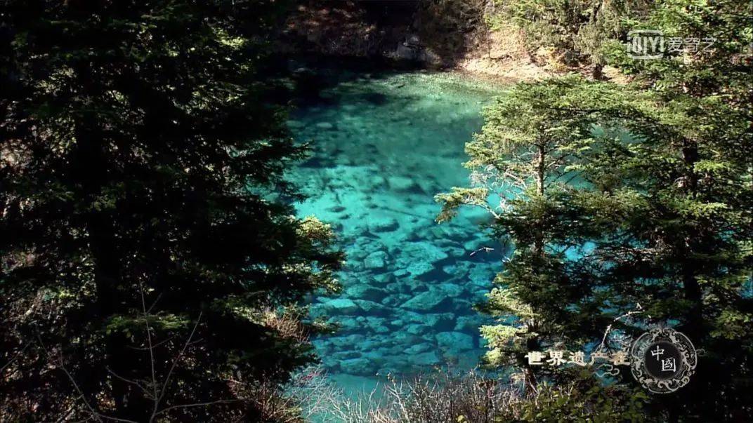 中国人独有的浪漫纪录片,中国人特有的浪漫纪录片