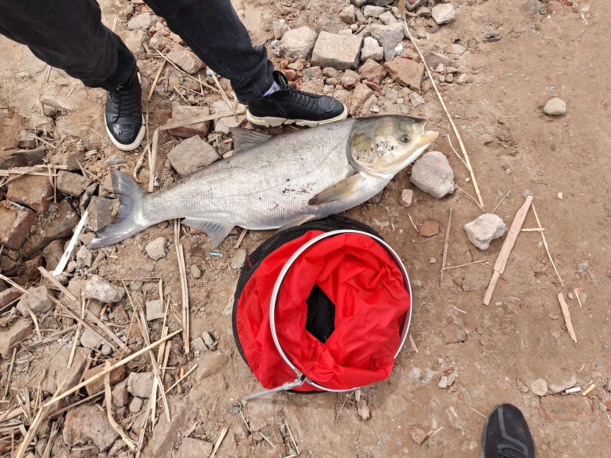 「四月渔获」27斤巨物！刷新个人单尾记录