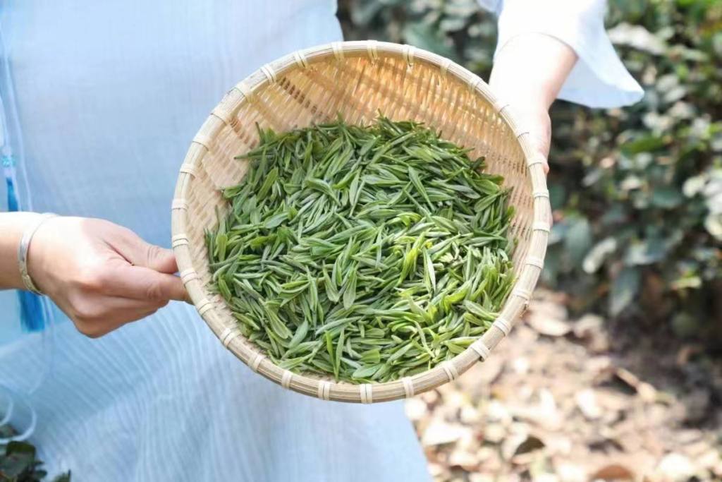 鍒涙柊璧嬭兘鏂囧寲璧嬭兘,宕傚北鑼跺彾鏂囨梾缁撳悎