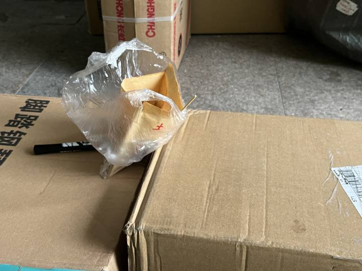 慢下来的快递｜结束隔离重返岗位，小哥裹着一身消毒水味穿街过巷