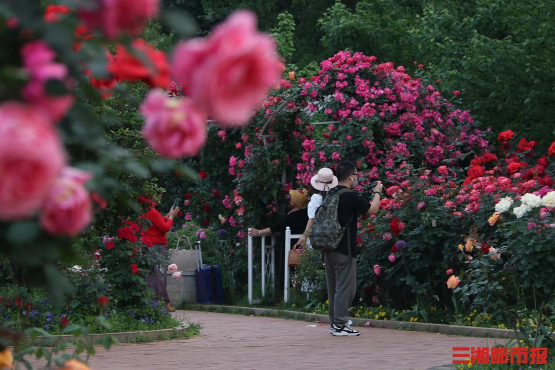 五一活动门票优惠,五一旅游优惠券怎么领取