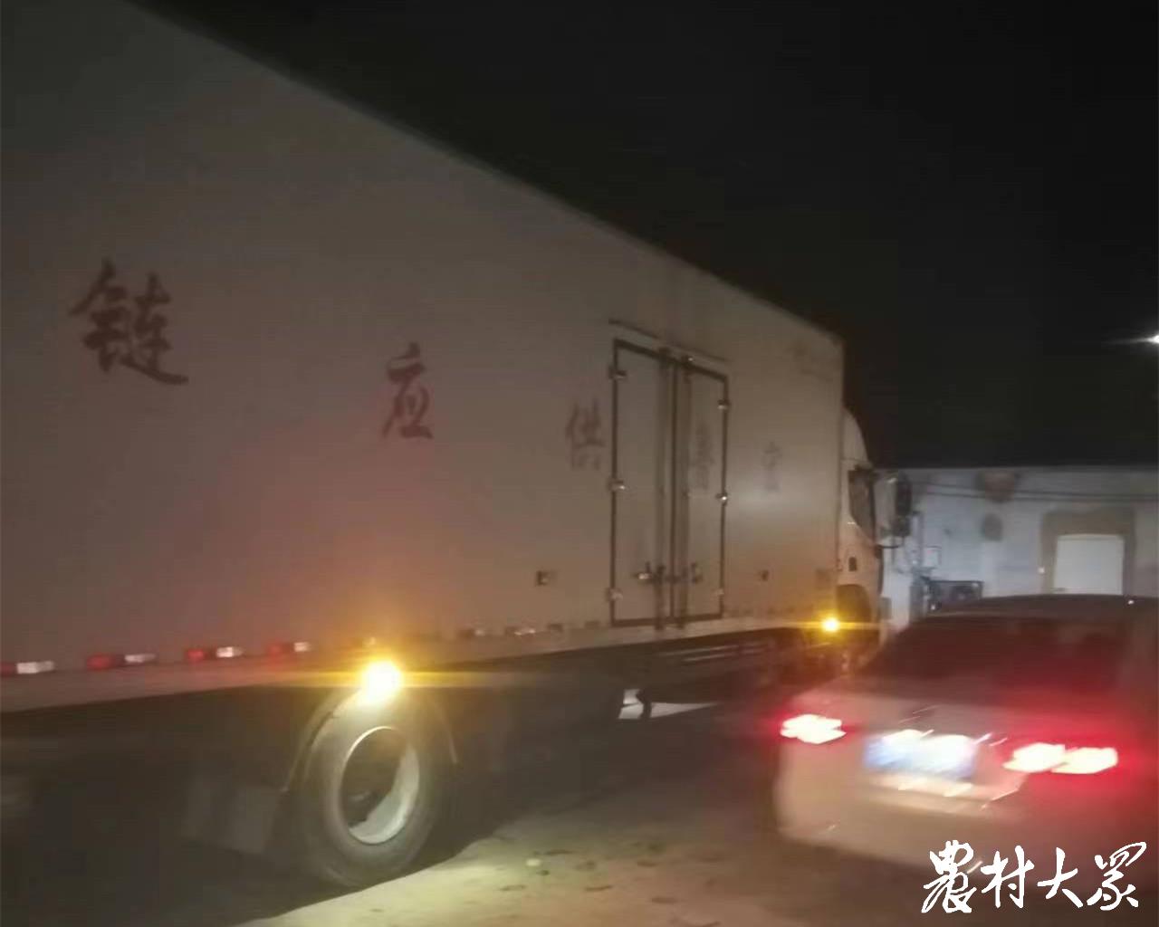 农村防控不误农时｜鲜切芍药进冷库，随时提货不误时