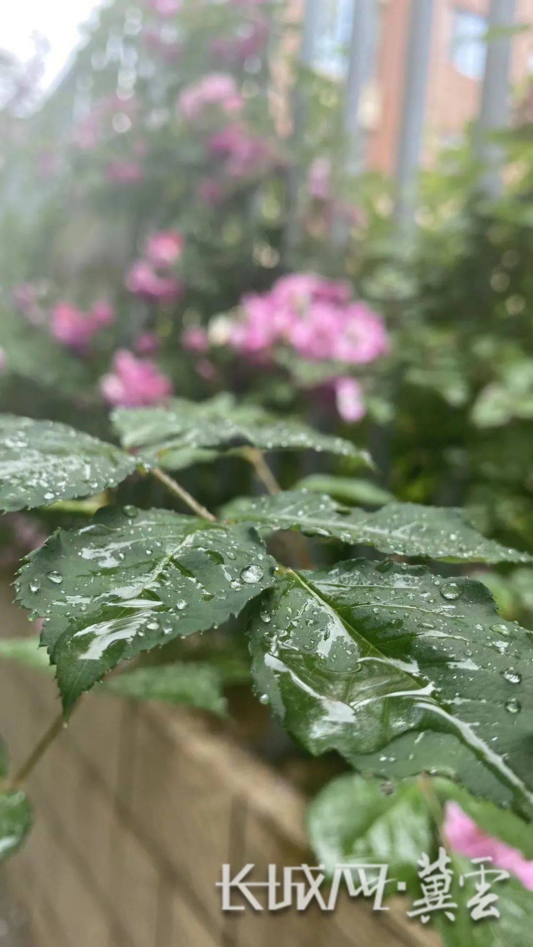 河北人,快来拍下身边的风险吧!现金红包等你拿