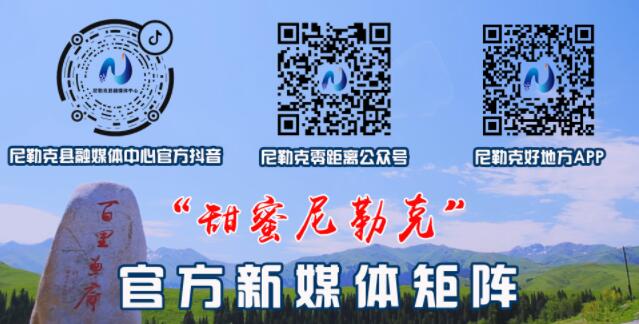 深入田间地头确保夏粮颗粒归仓,不误好农时确保夏粮颗粒归仓