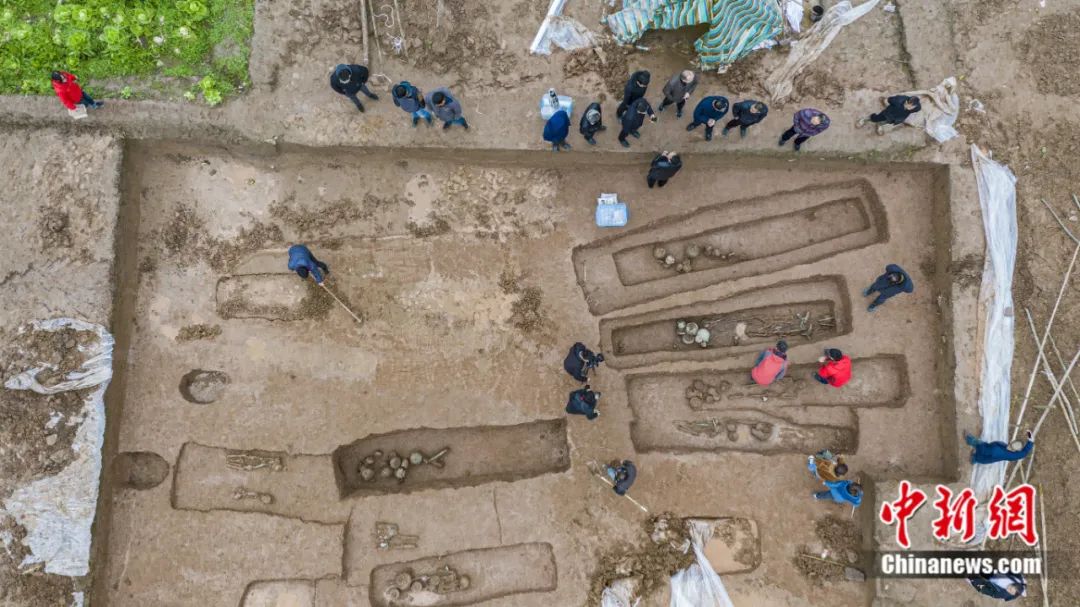 巴文化的精髓,东西文化问题