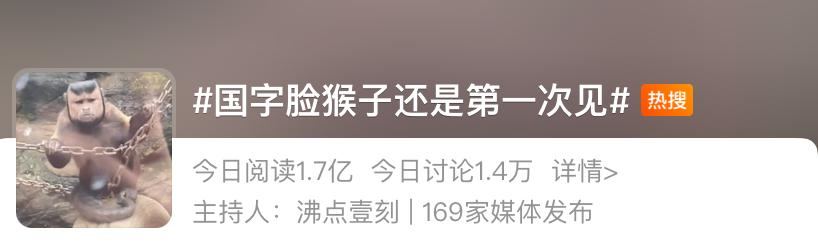 国字脸短发,国字脸女生适合的短发