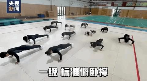 小学生表演花式俯卧撑,本草纲目小朋友健身操完整版