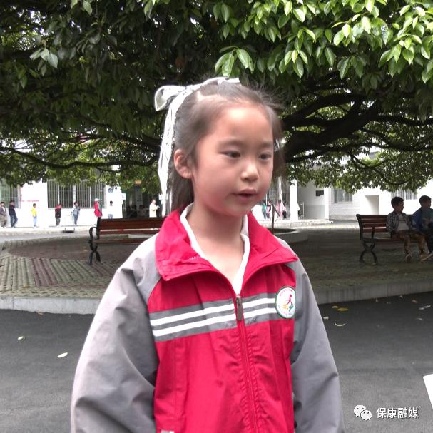 马桥镇中坪小学！不仅书声琅琅，还闻樟树飘香……