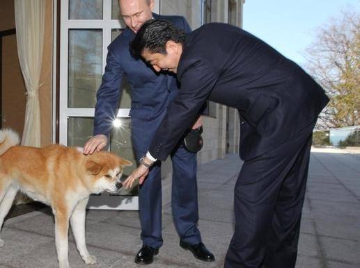 侃天下｜澳新总理爱犬开社交媒体账号，首条推文：我来啦！汪