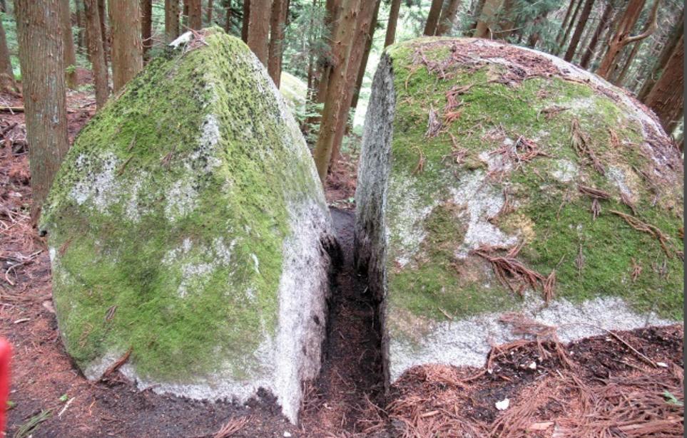 有意思周报｜没啥性欲？美国人正在尝试性关系修复*法大**；下属欺负上司的“逆霸凌”正在成为日本职场新问题