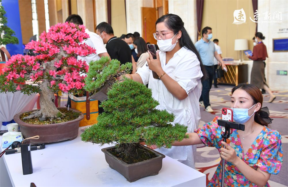 “迁宿迁创未来”⑤｜“五联五强”行动汇聚高质量发展动力源