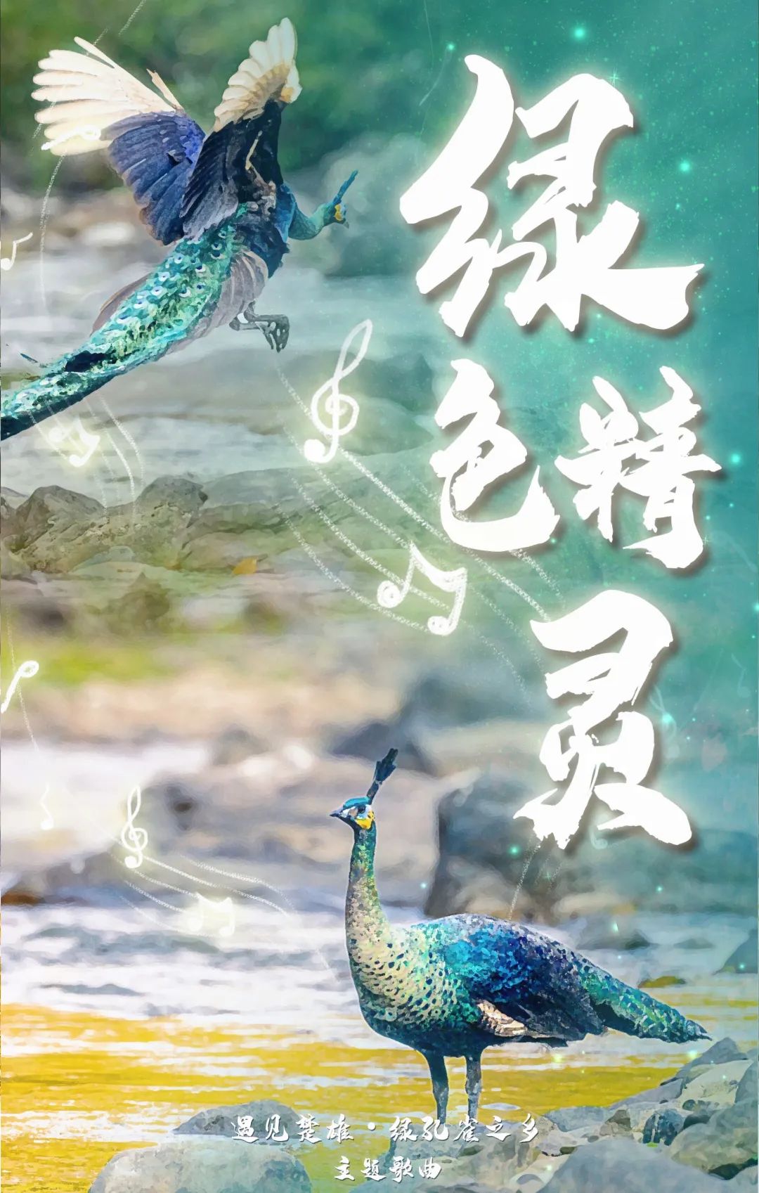 遇见楚雄绿孔雀之乡,遇见绿孔雀之乡楚雄