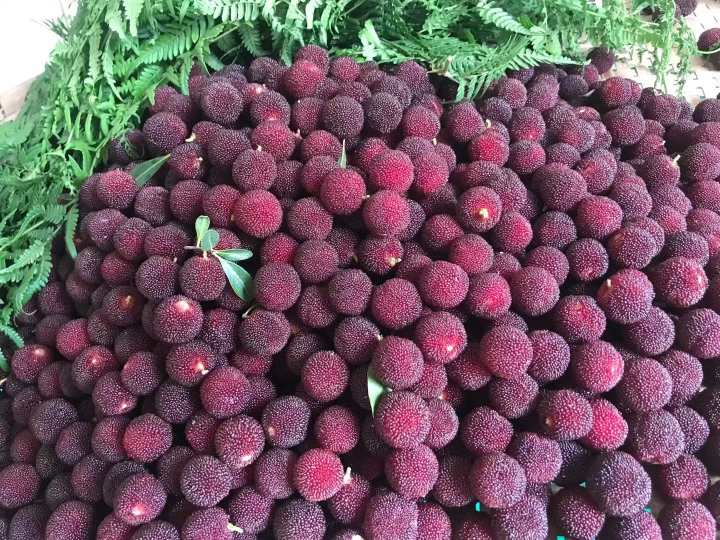 夏天空中乱飞的小虫子要怎么处理,天气潮湿生出黄色的小虫怎么处理