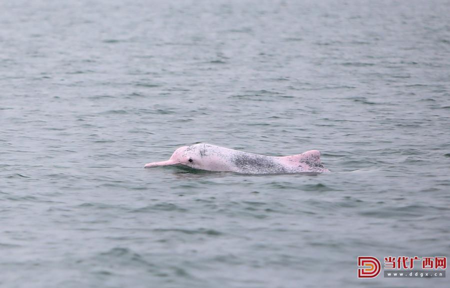 鍖楅儴婀剧殑寰瑧,瀹堟姢鍖楅儴婀炬渶缇庢捣宀哥嚎