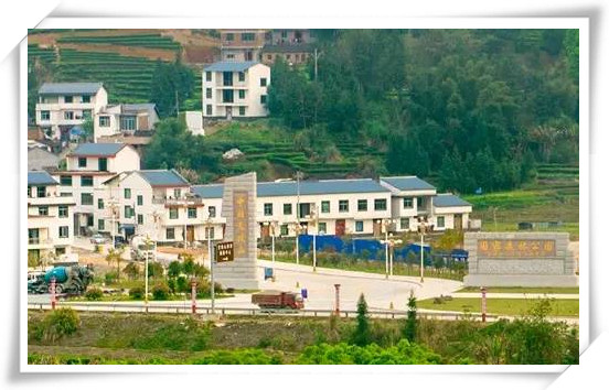 闽东之光丨郑承东:一条路的血色九贝(一)