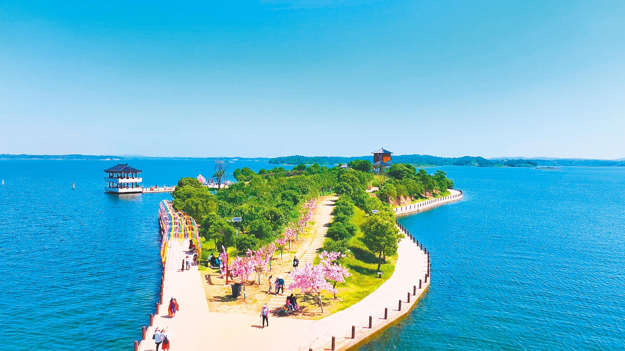 随州市广水市乡村振兴,三乡工程打造乡村振兴强磁场