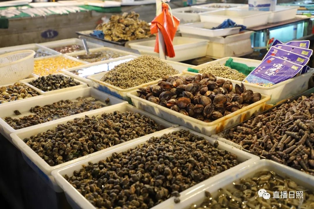 日照现在海鲜价,日照2019海鲜价格表