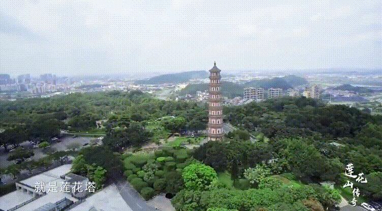 广州好吃的地方排行榜2020,广州最好吃的区