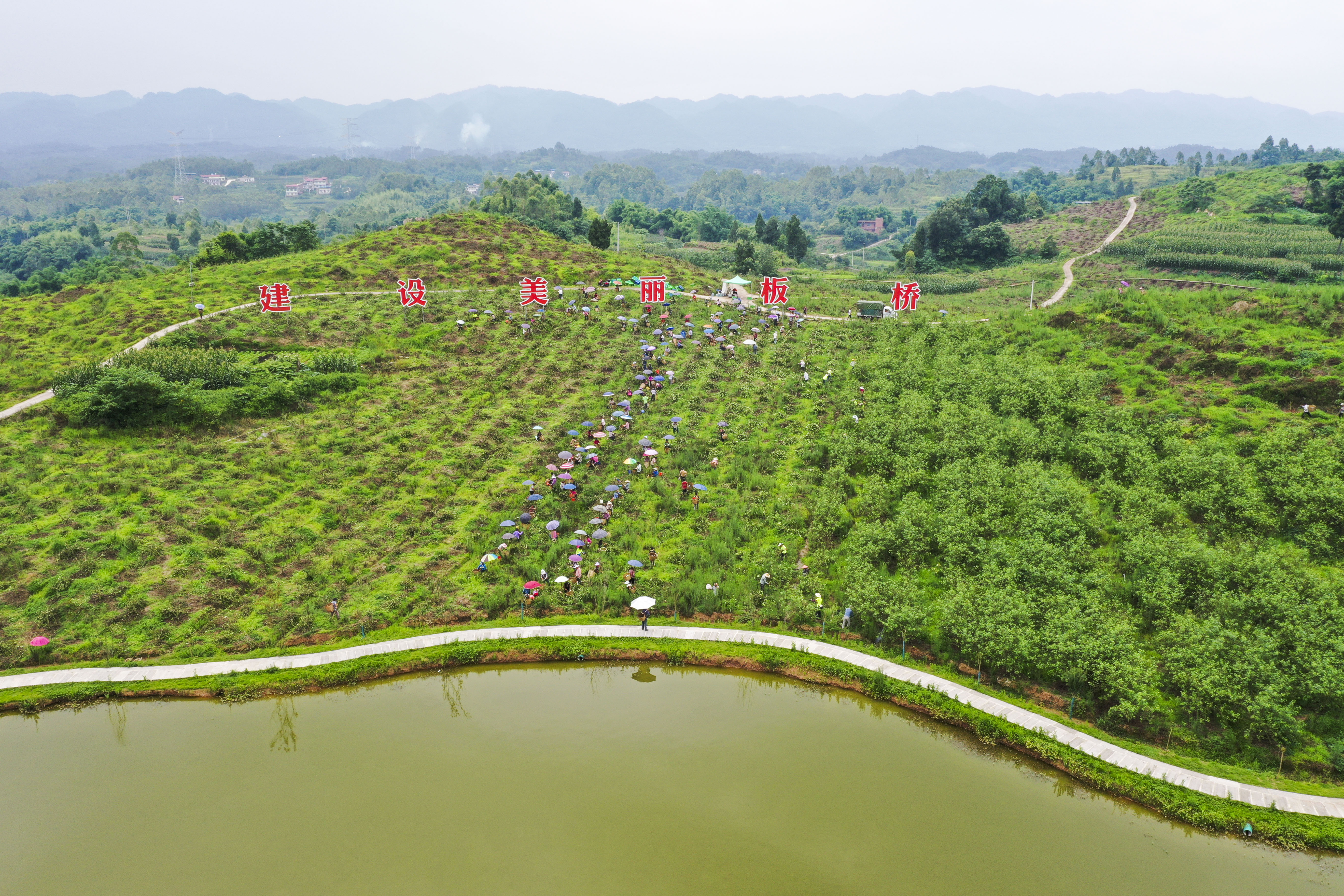 （新华全媒+）“小花椒”种出“大产业”