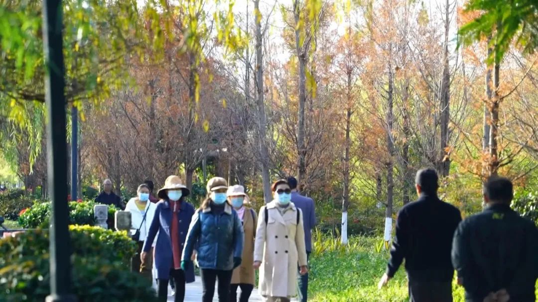 弥渡县城镇规划,弥渡县各乡镇发展规划