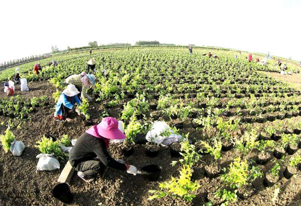 瀹胯縼甯傚啘涓氬拰宸ヤ笟閲嶅ぇ椤圭洰,姹熻嫃瀹胯縼鍐滀笟閲嶅ぇ椤圭洰