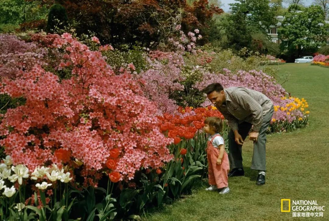 最伟大的作品6张照片,30秒最伟大的作品