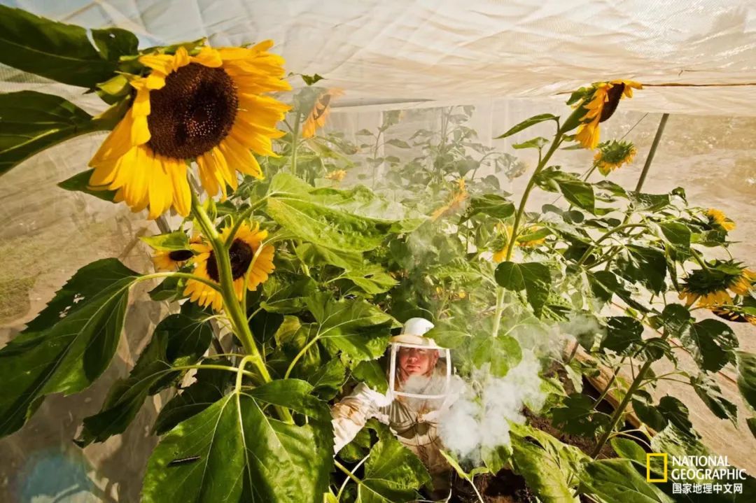 最伟大的作品6张照片,30秒最伟大的作品