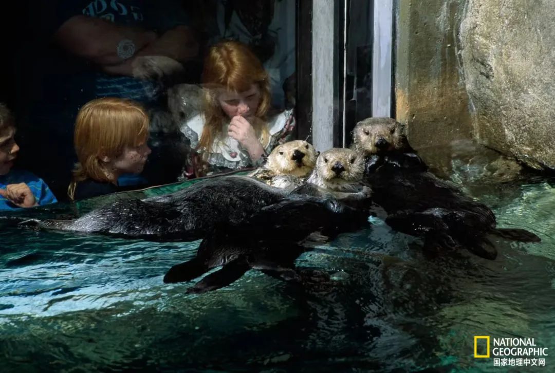 100张最伟大的体育照片,100张有史以来最伟大的照片