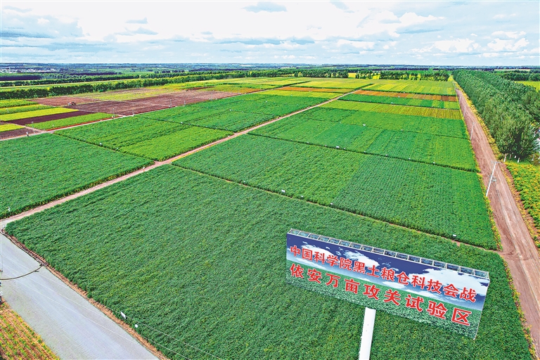 依安蓬勃发展,依安经济高质量发展