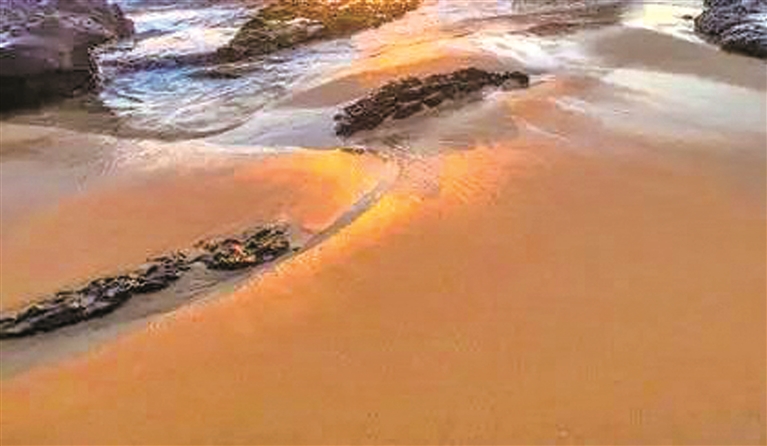 之乎者也谦谦君子,之乎者也的小说